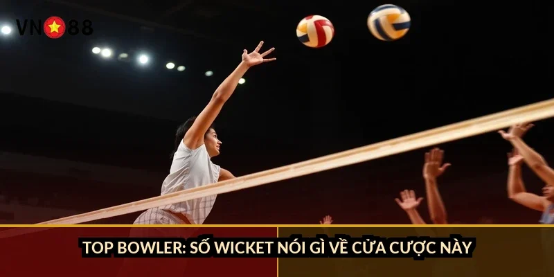 Cá cược cricket World Cup VN88: 5 cửa cược và cách đọc kèo 2 Top bowler: số wicket nói gì về cửa cược này?
