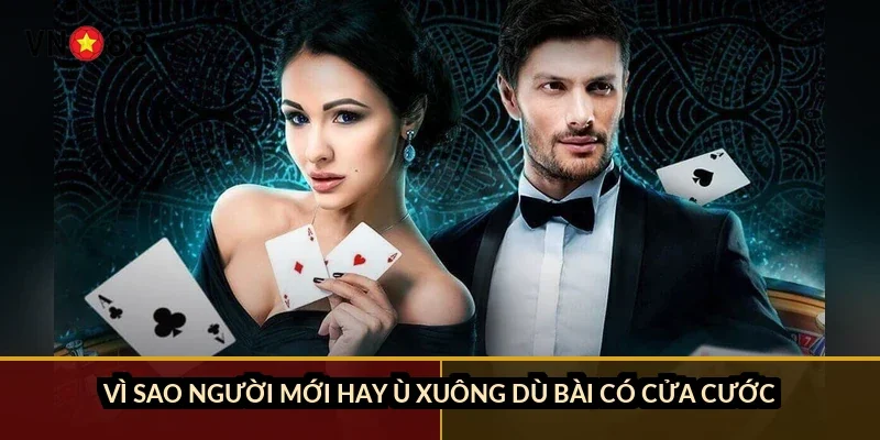 Chắn câu bài hiệu quả VN88: luật 100 lá, 6 chắn và 11 lá chờ 3 Vì sao người mới hay ù xuông dù bài có cửa cước?